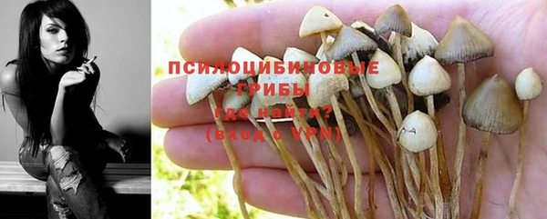 кокс Богородск