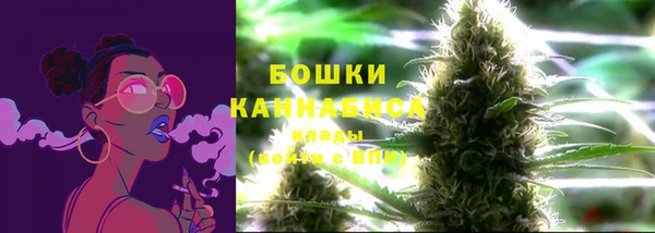 хмурый Богородицк