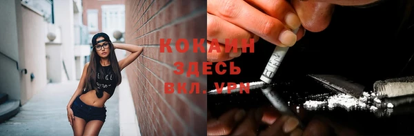 хмурый Богородицк