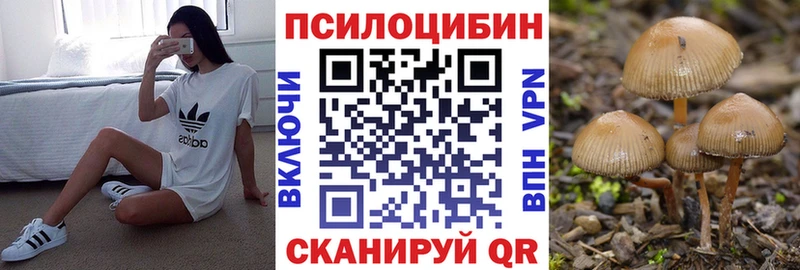 Псилоцибиновые грибы мицелий  продажа наркотиков  Горно-Алтайск 